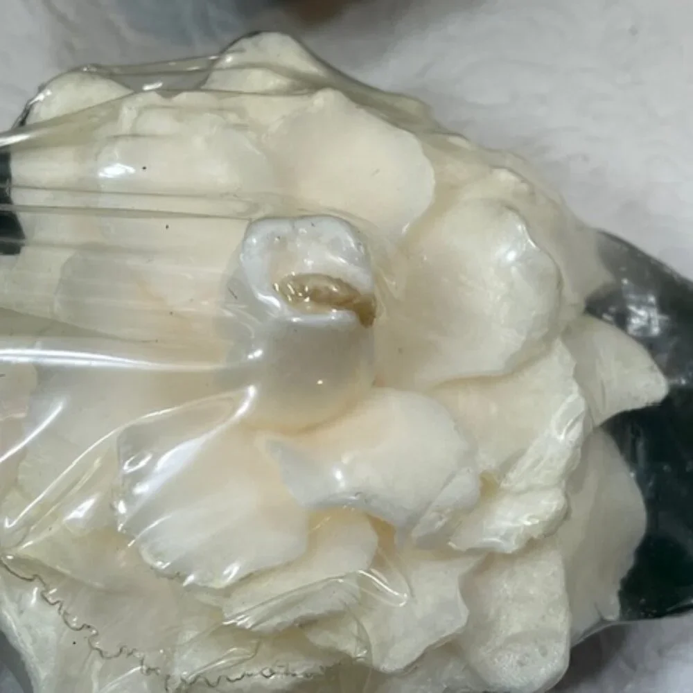VTG 4 White Magnolia Floating Floral Candles Michael Coffindaffer 5.5